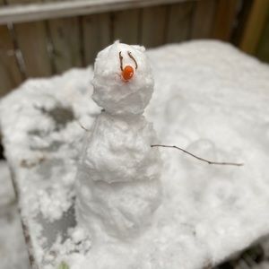 Meet your Posher, Patrick